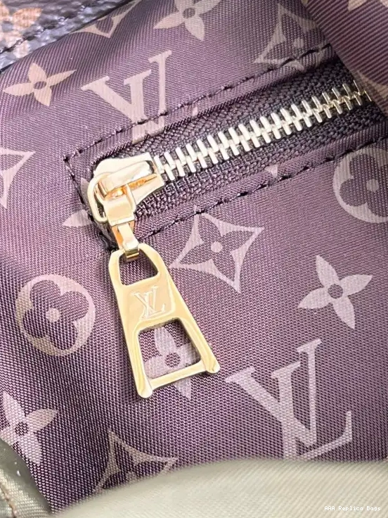 Aaa replica bags LOUIS ONTHEGO GM VUITTON 0515